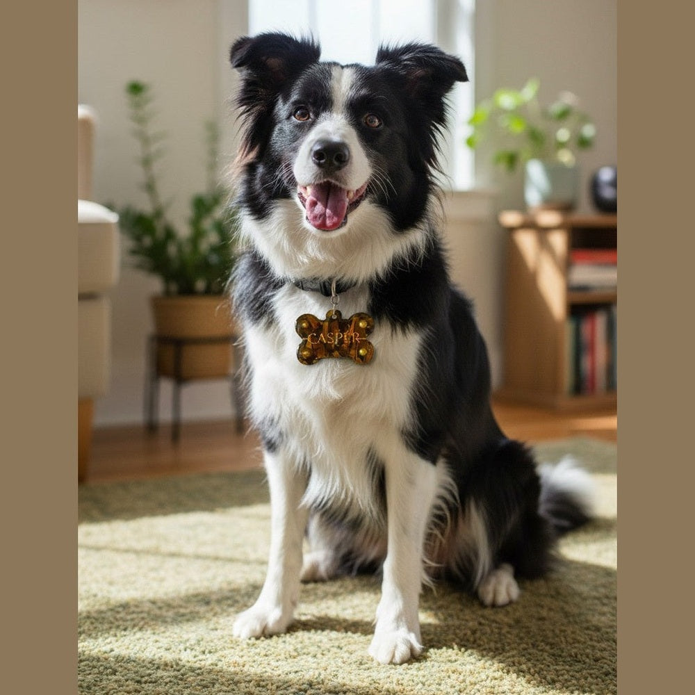 Medaglietta Identificativa Cani - Collezione Fashion Pet - Autunno rjthw8-is