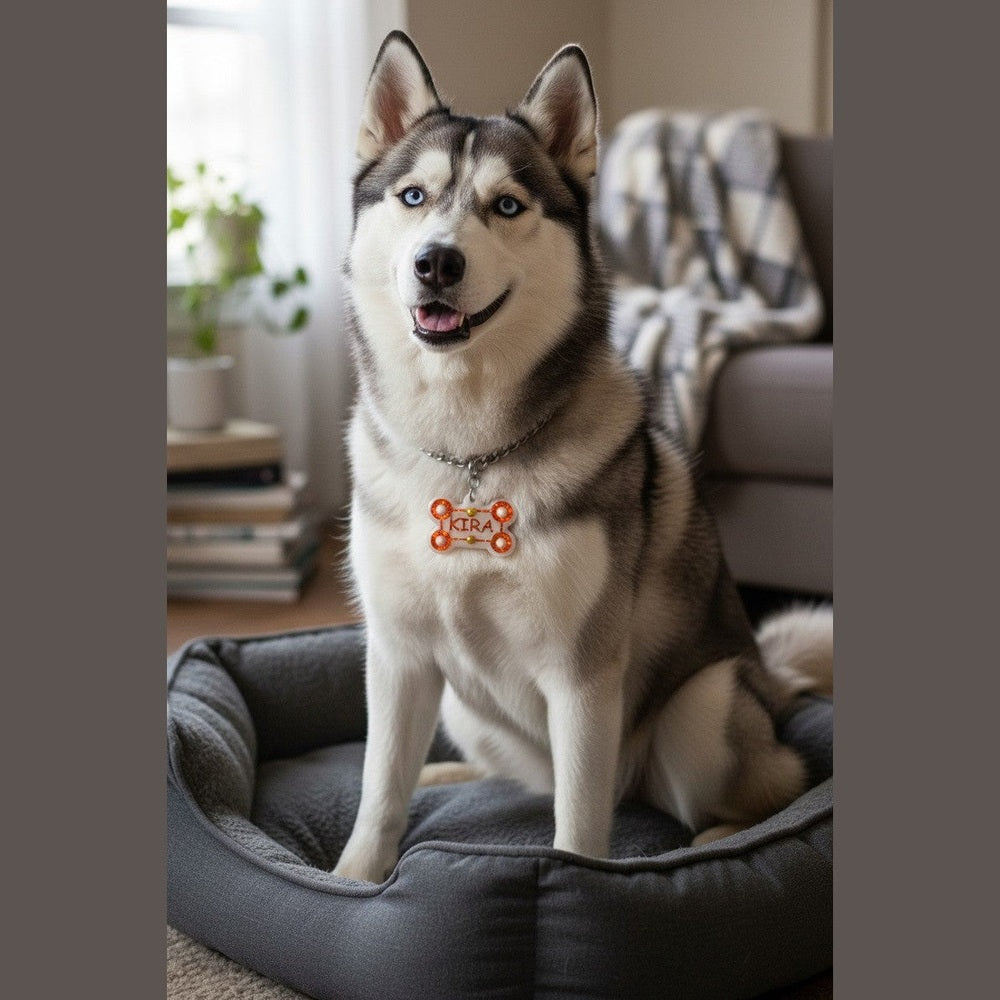 Medaglietta Identificativa Cani - Collezione Fashion Pet - Inverno rjthw8-is