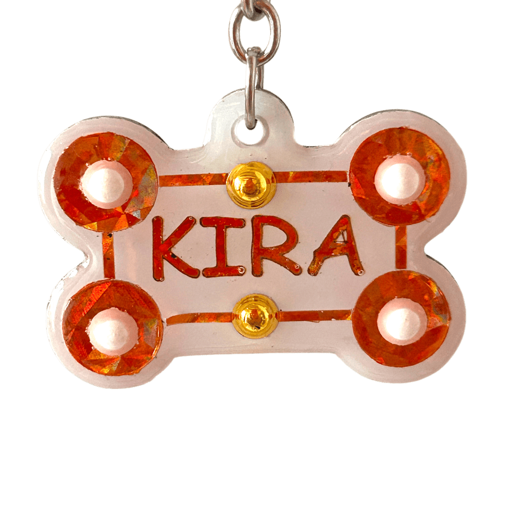 Medaglietta Identificativa Cani - Collezione Fashion Pet - Inverno rjthw8-is