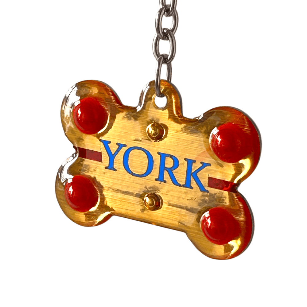 Medaglietta Identificativa Cani - Collezione Fashion Pet - Regale rjthw8-is