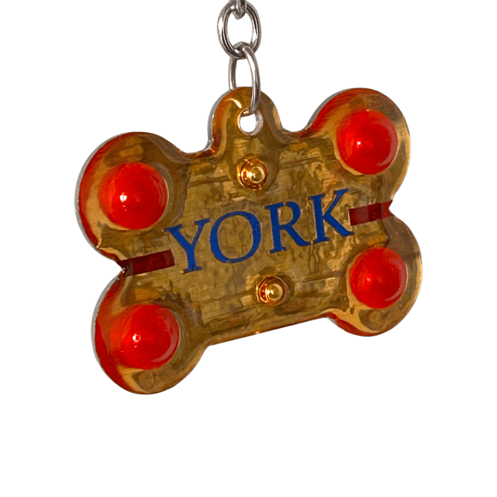 Medaglietta Identificativa Cani - Collezione Fashion Pet - Regale rjthw8-is