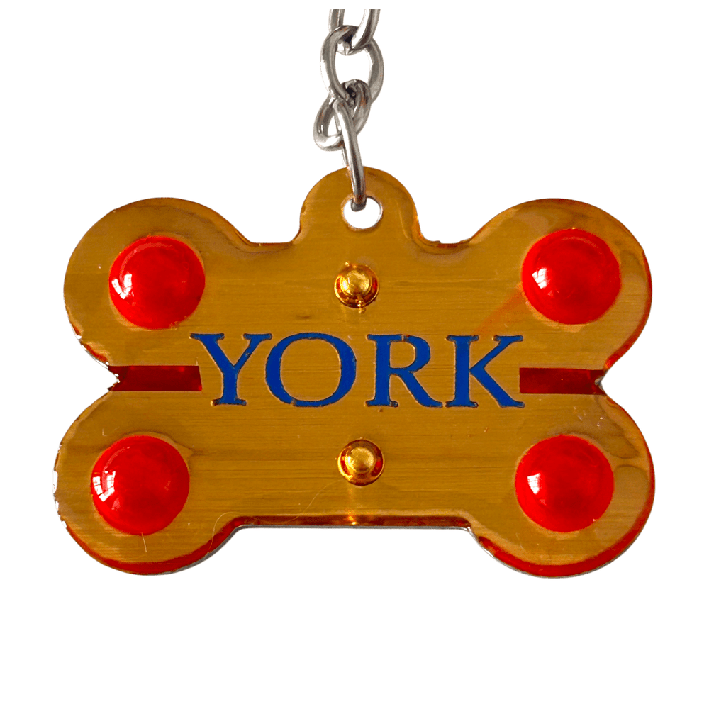 Medaglietta Identificativa Cani - Collezione Fashion Pet - Regale rjthw8-is