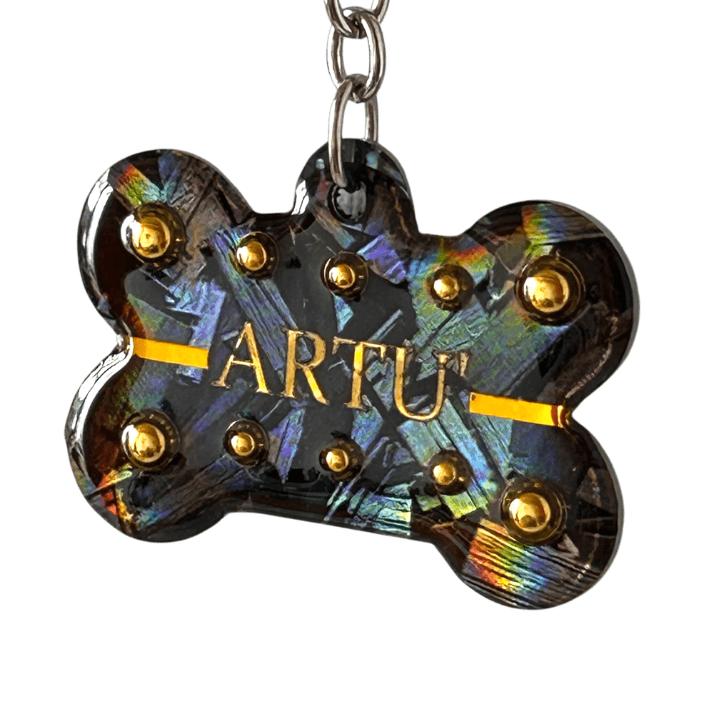 Medaglietta Identificativa Cani - Collezione Fashion Pet - Pirite rjthw8-is