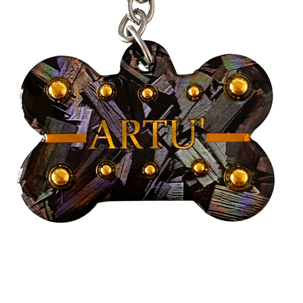 Medaglietta Identificativa Cani - Collezione Fashion Pet - Pirite rjthw8-is