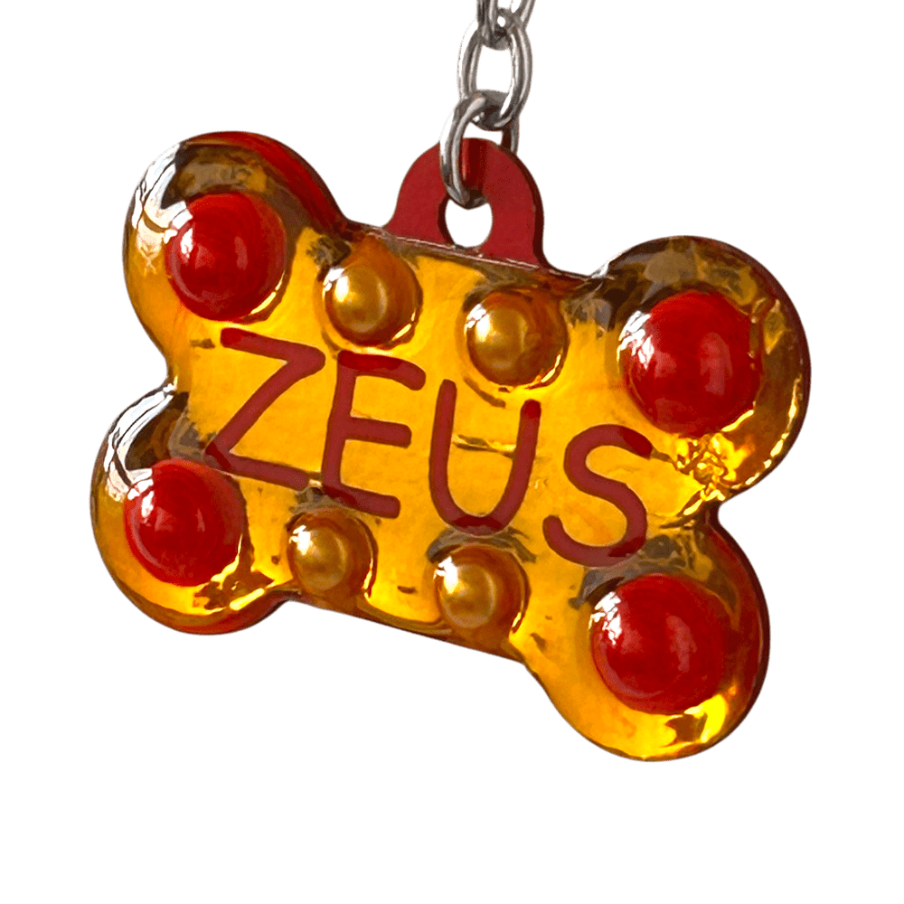 Medaglietta Identificativa Cani - Collezione Fashion Pet - Estate rjthw8-is