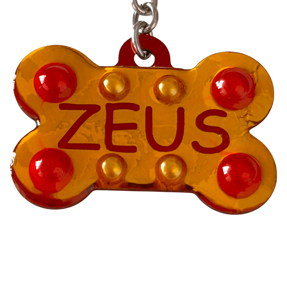 Medaglietta Identificativa Cani - Collezione Fashion Pet - Estate rjthw8-is