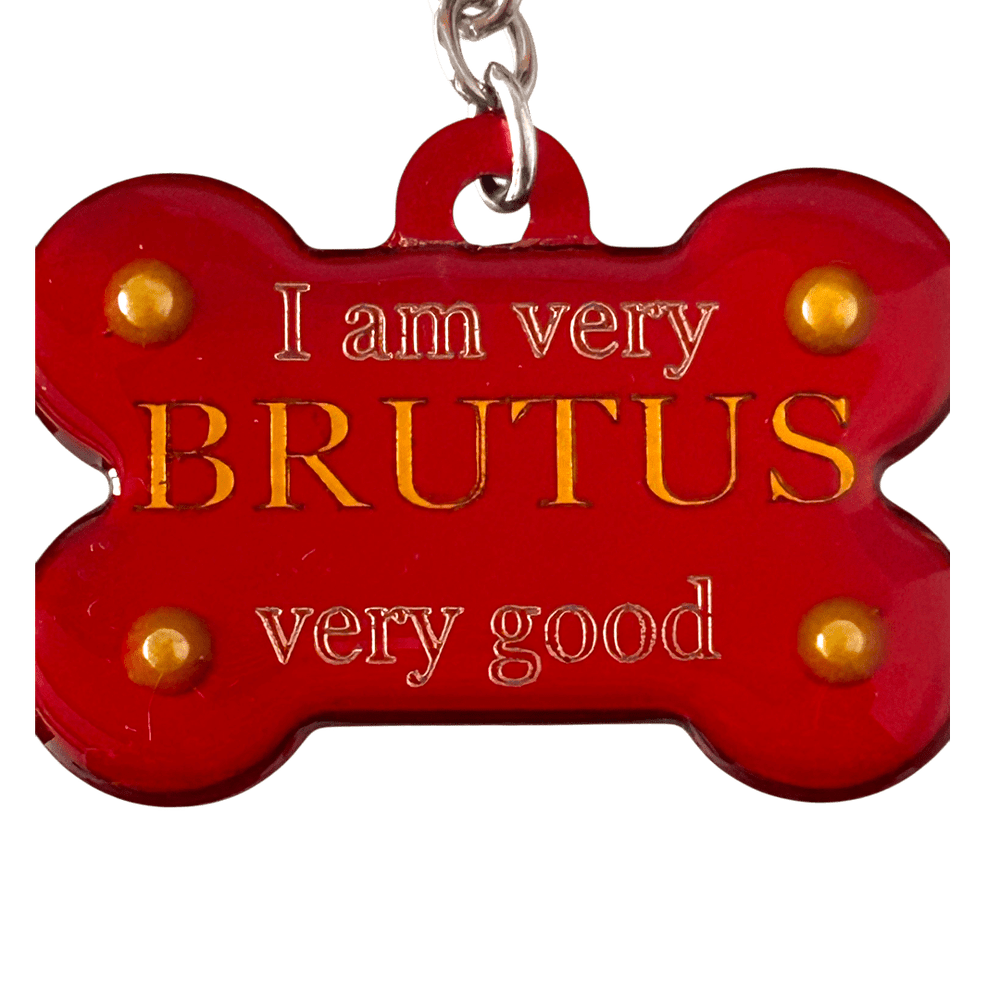 Medaglietta Identificativa Cani - Fashion Pet - My Love rjthw8-is