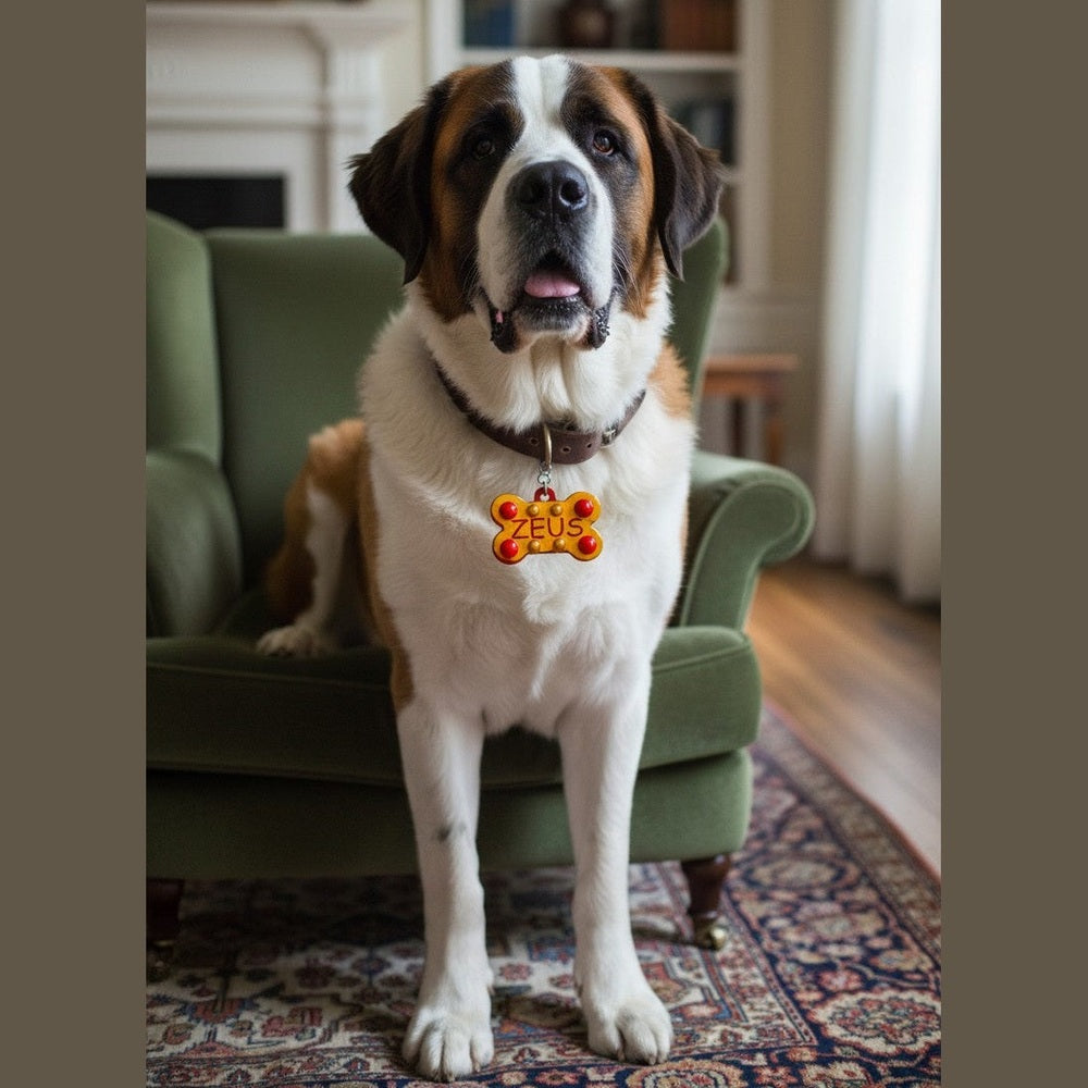 Medaglietta Identificativa Cani - Collezione Fashion Pet - Estate rjthw8-is